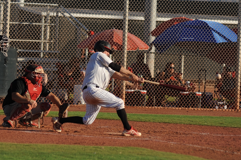 Seals_2019-10-08 (561).JPG - (c)2010 DeVetter